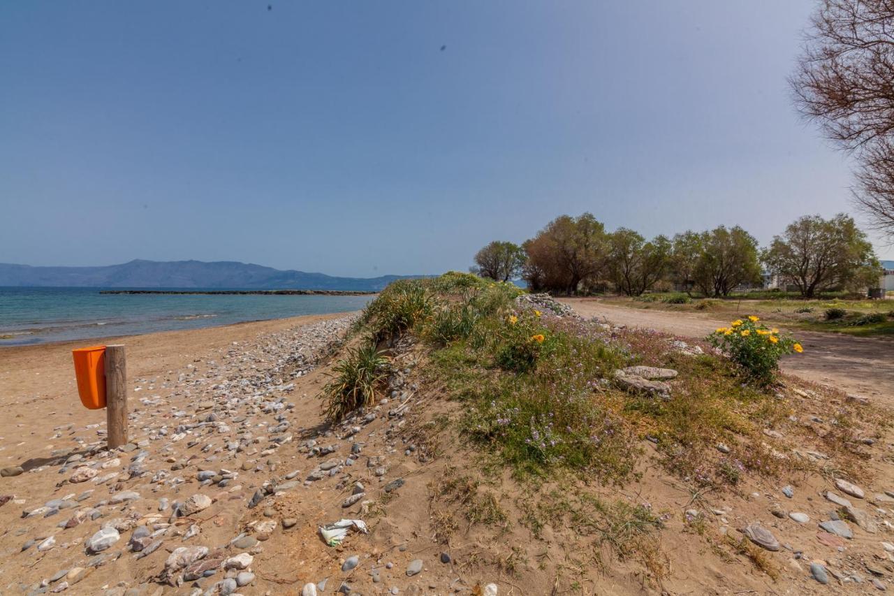 Kissamos Sea View Beach Apartments Eksteriør bilde